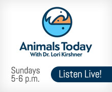 Animals Today Radio