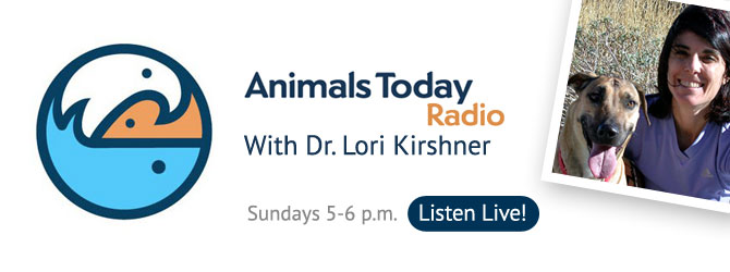 hero_animals_today_sm hero_animals_today_sm