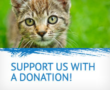 Support Us With a Donation